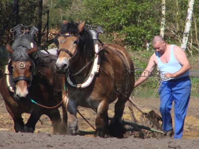 herstelling leder lederen gareel 3