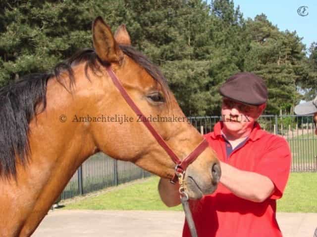 maatwerk leder eventing bitloos hoofdstel sidepull