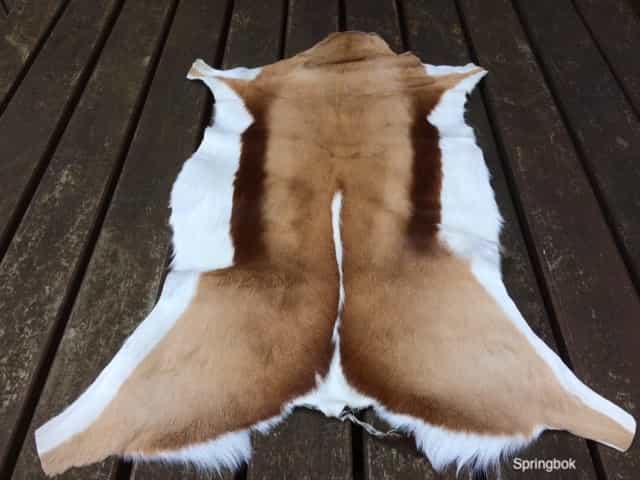 te koop springbok naturel